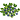 Плодовые кустарники