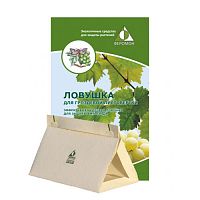 Феромонная ловушка для винограда